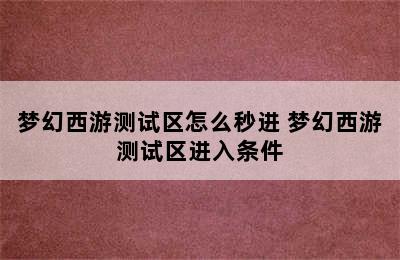 梦幻西游测试区怎么秒进 梦幻西游测试区进入条件